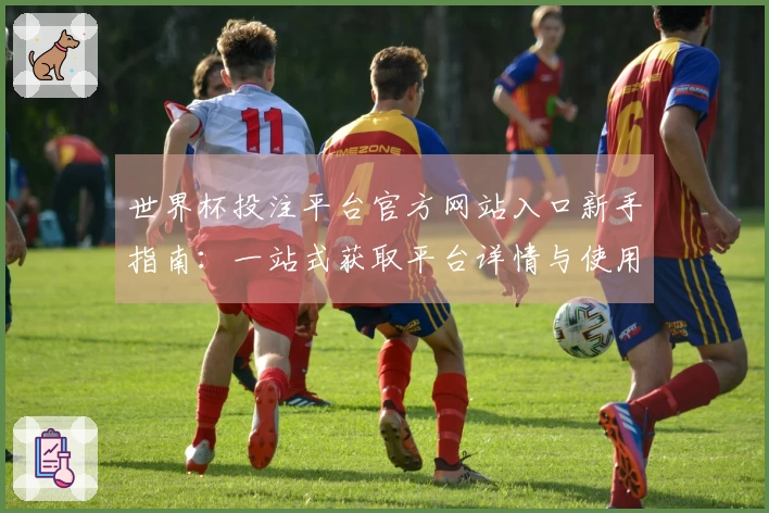 世界杯投注平台官方网站入口新手指南：一站式获取平台详情与使用说明
