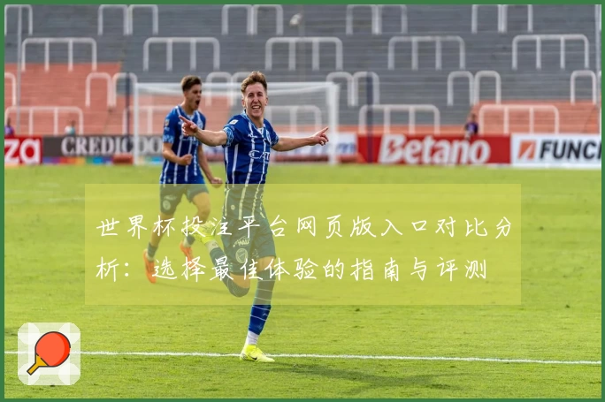 世界杯投注平台网页版入口对比分析：选择最佳体验的指南与评测