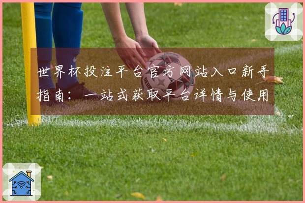世界杯投注平台官方网站入口新手指南：一站式获取平台详情与使用说明
