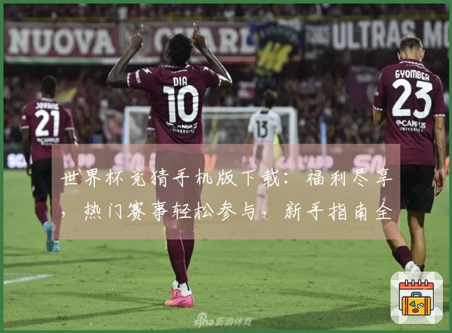 世界杯竞猜手机版下载：福利尽享，热门赛事轻松参与，新手指南全程陪伴
